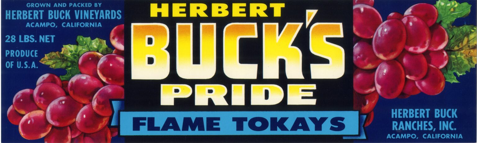 Herbert Buck s Pride Herbert Buck s Pride